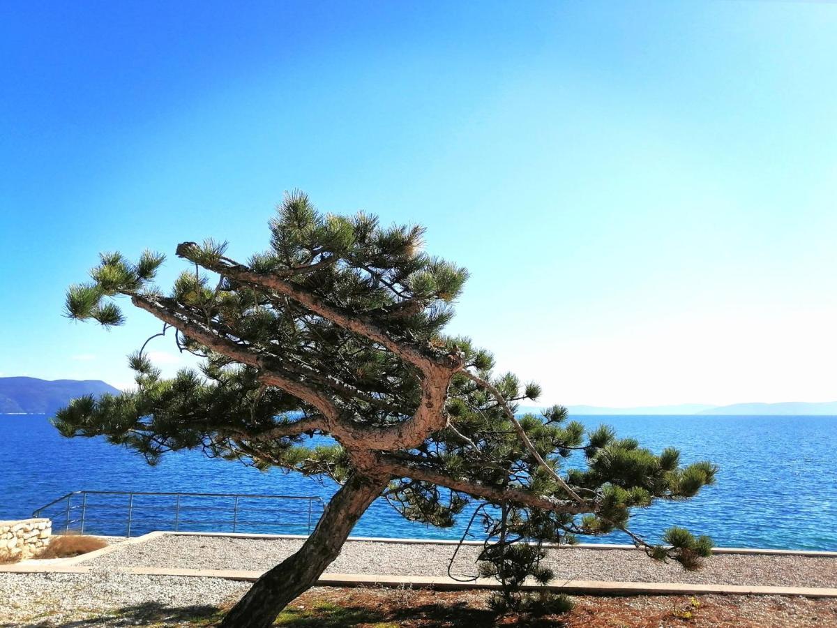 Studio Apartment Michelle - Intermezzo With Sea View Rabac Zewnętrze zdjęcie